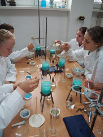 2017P1010009 (9) (Small).JPG